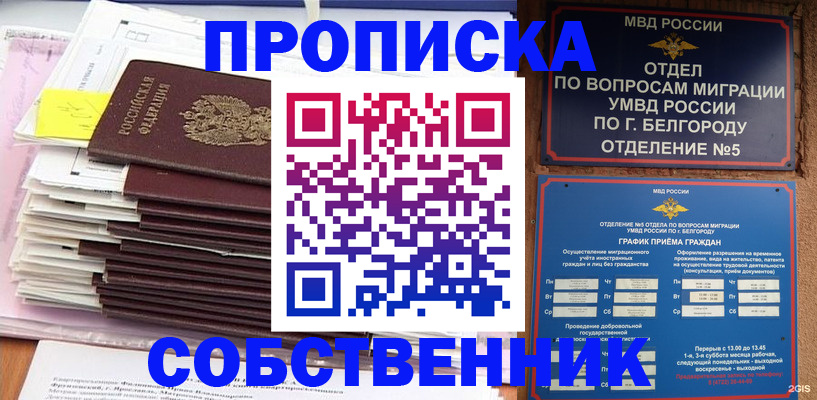 прописка законно в Курчатове